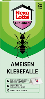 Ameisen Leimfalle  Nexa Lotte