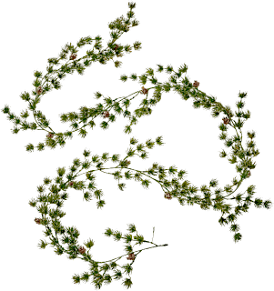 Girlande aus Kunststoff, Kieferzweige mit kleinen Zapfen, gold beglittert (180 cm) Dekorieren & Einrichten