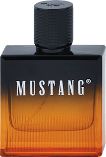 Pánska toaletná voda Amber Signature MUSTANG