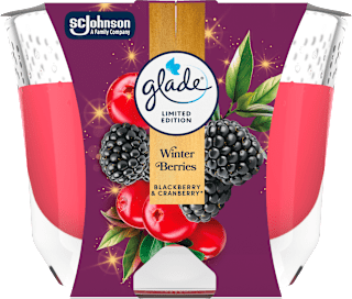Dišeča sveča v kozarcu Winter Berries glade