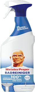 Badreiniger Meister Proper