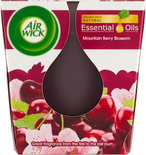 Airwick dišeča sveča Mountain Berry Blossom AIRWICK