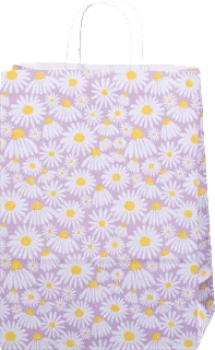 Poklon vrećica maxi, više vrsta Profissimo