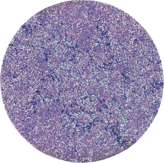 Pigment prasowany- Turbo Glow kolor ZORZA Glam SHOP