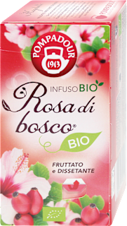 Rosa di bosco POMPADOUR