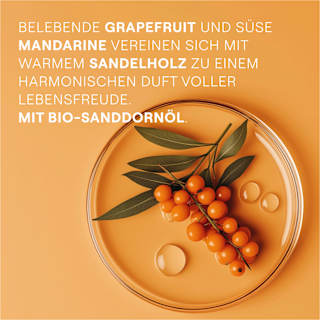 Duschgel Vitality WELEDA