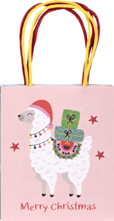 Poklon vrećice – mini, više vrsta Profissimo