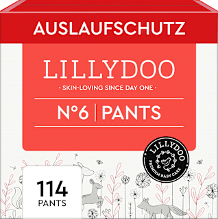 Baby Pants Gr. 6 (15+ kg) Monatsbox Lillydoo