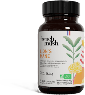 Lion's Mane – Lavlja griva, kapsule french mush