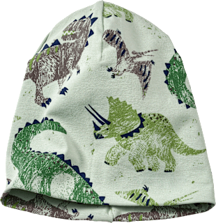 Mütze Pro Climate mit Dino-Muster, grün, Gr. 48/49 ALANA