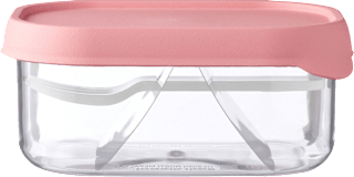 Fruchtbox take a break, rose Mepal