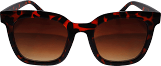 Ženska sončna očala, rjava sundance