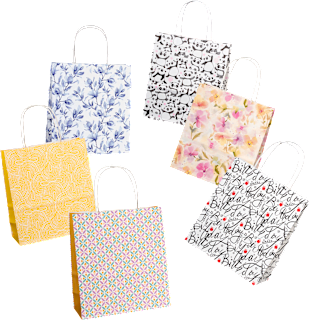 Darilna vrečka, več različic Profissimo