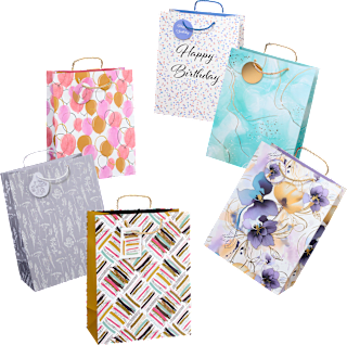 Poklon vrećica, više vrsta Profissimo