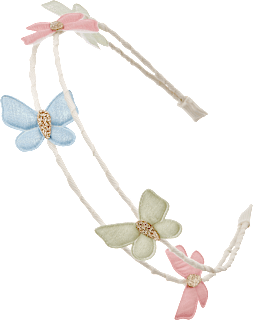 Haarreif Schmetterling ebelin