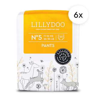 Baby Pants Gr. 5 (11+ kg), Monatsbox LILLYDOO
