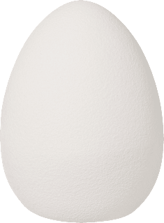 Keramikei, angeraute Oberfläche, creme (11 cm) BRAUNS-HEITMANN