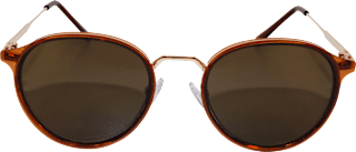 Sonnenbrille Unisex Retro braun-gold SUNDANCE