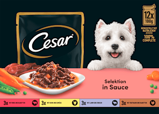 Nassfutter Hund Selektion in Sauce (12 x 100g) Cesar