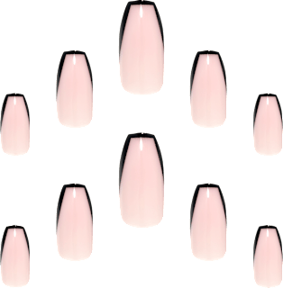 Künstliche Nägel Elegant Touch Dream Nails Black French  Elegant Touch