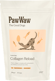 Prehransko dopolnilo za pse Collagen Reload PawWaw The Good Dogs