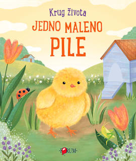 Slikovnica Jedno maleno pile Forum