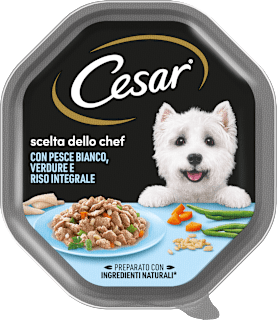 Cibo umido con pesce bianco, verdure e riso integrale scelta dello chef Cesar