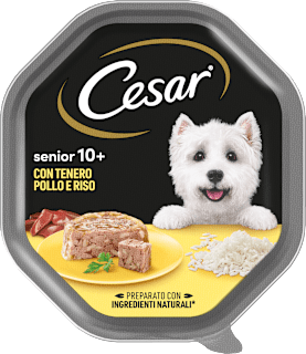 Cibo umido con pollo e riso per cane senior 10+ Cesar