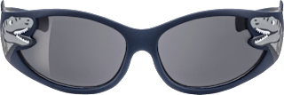 Sonnenbrille Kids blau-grau mit Dinos SUNDANCE