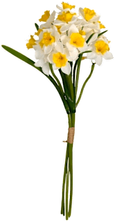 Umjetni buket narcis – bijeli Ira Commerce