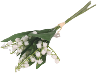 Umjetni buket đurđica – bijeli Ira Commerce