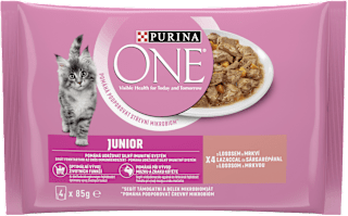 Junior kapsičky pro kočky losos s mrkví 4x85 g PURINA ONE