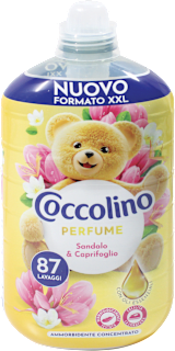 Ammorbidente concentrato Perfume sandalo e caprifoglio XXL Coccolino