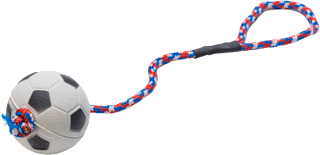 Igrača za pse - žoga na vrvici, več različic beeztees