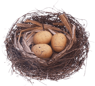 Ukrasno gnijezdo s jajima Ira Commerce