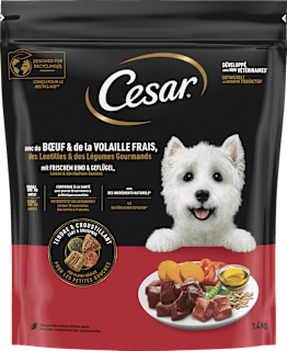 Trockenfutter Hund Rind & Geflügel Cesar