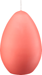 Kerze in Eiform Trend sortiert Profissimo