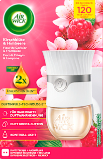 Duftstecker Starter-Set Kirschblüte & Himbeere AIR WICK