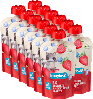 Bio sadna kašica z jagodami, borovnicami in jabolkom, 12 × 100 g babylove