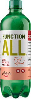 Funkcionalna pijača FunctionALL Feel Good, gazirana Radenska