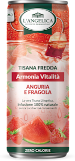 Tisana fredda drena detox L'ANGELICA