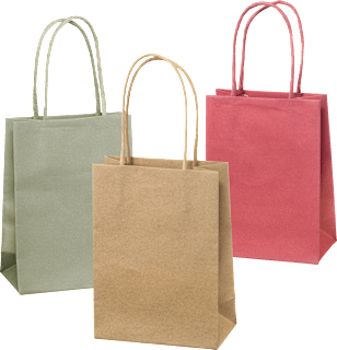 Torebka prezentowa Profissimo