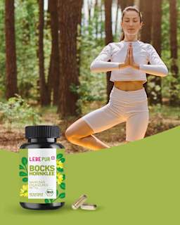 Bockshornklee Kapseln 60 St Lebepur