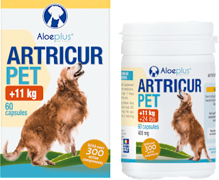 Dopolnilna hrana za pse, kapsule za sklepe in mišice Artricur Pet (+11 kg) Aloeplus