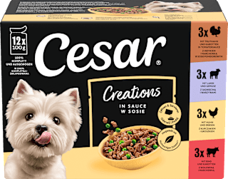 Nassfutter Hund Creations in Sauce, Mulitpack (12x100 g) Cesar
