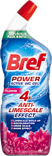 WC gel Power Aktiv Flower Bref