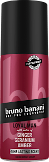 Deospray Loyal Man bruno banani