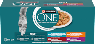 kapsičky pro kočky Mini filetky ve šťávě 40x85g, Multipack PURINA ONE