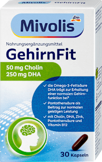 GehirnFit Mivolis