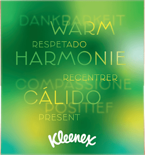 Taschentücher Box Kleenex